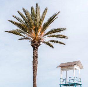 Biluthyrning & hyrbil i Larnaca