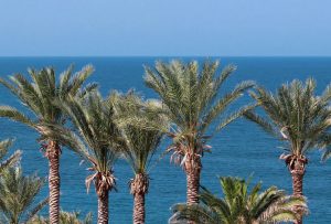 Biluthyrning & hyrbil i Ayia Napa