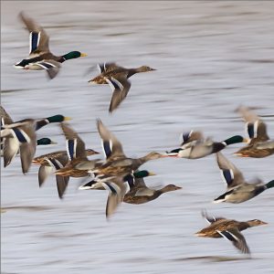 Hyrbil & biluthyrning Ronneby flygplats