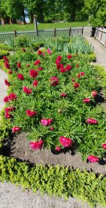 Biluthyrning & hyrbil i Landskrona