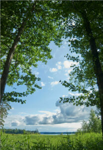 Billig hyrbil i Karlskoga