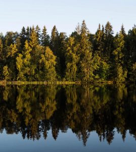 Biluthyrning & hyrbil i Borlänge