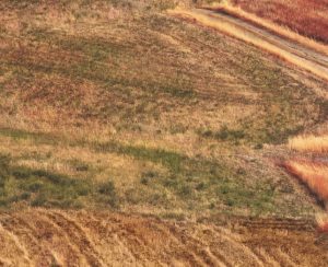 Biluthyrning & hyrbil i Brindisi