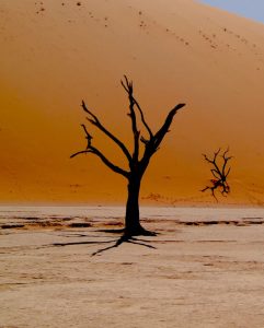 Biluthyrning & hyrbil i Windhoek