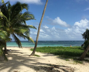 Billig biluthyrning & hyrbil i Martinique