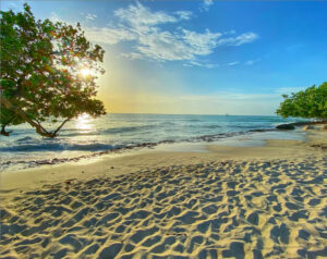 Billig biluthyrning i Aruba