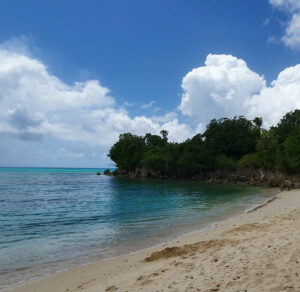 Billig biluthyrning & hyrbil i Guadeloupe