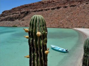 Hyrbil i Baja California