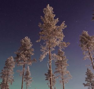 Hyrbil & biluthyrning Gällivare flygplats