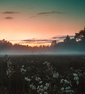 Hyrbil & biluthyrning Åbo flygplats