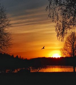 Hyrbil & biluthyrning Vasa flygplats