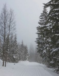 Hyrbil & biluthyrning Karlstad flygplats