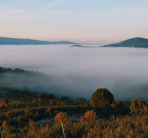 Hyrbil & biluthyrning Badajoz flygplats