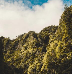 Hyrbil & biluthyrning Porto Santo flygplats