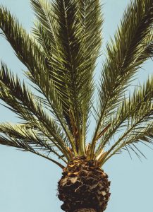 Biluthyrning & hyrbil i Lamezia Terme