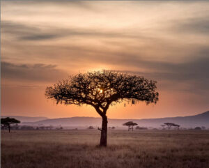 Billig hyrbil i Queenstown