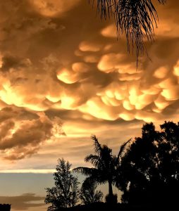 Billig biluthyrning & hyrbil i Pretoria